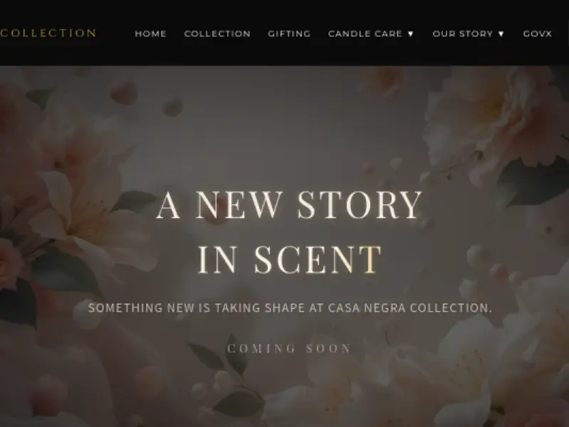 Casa Negra Collection website preview